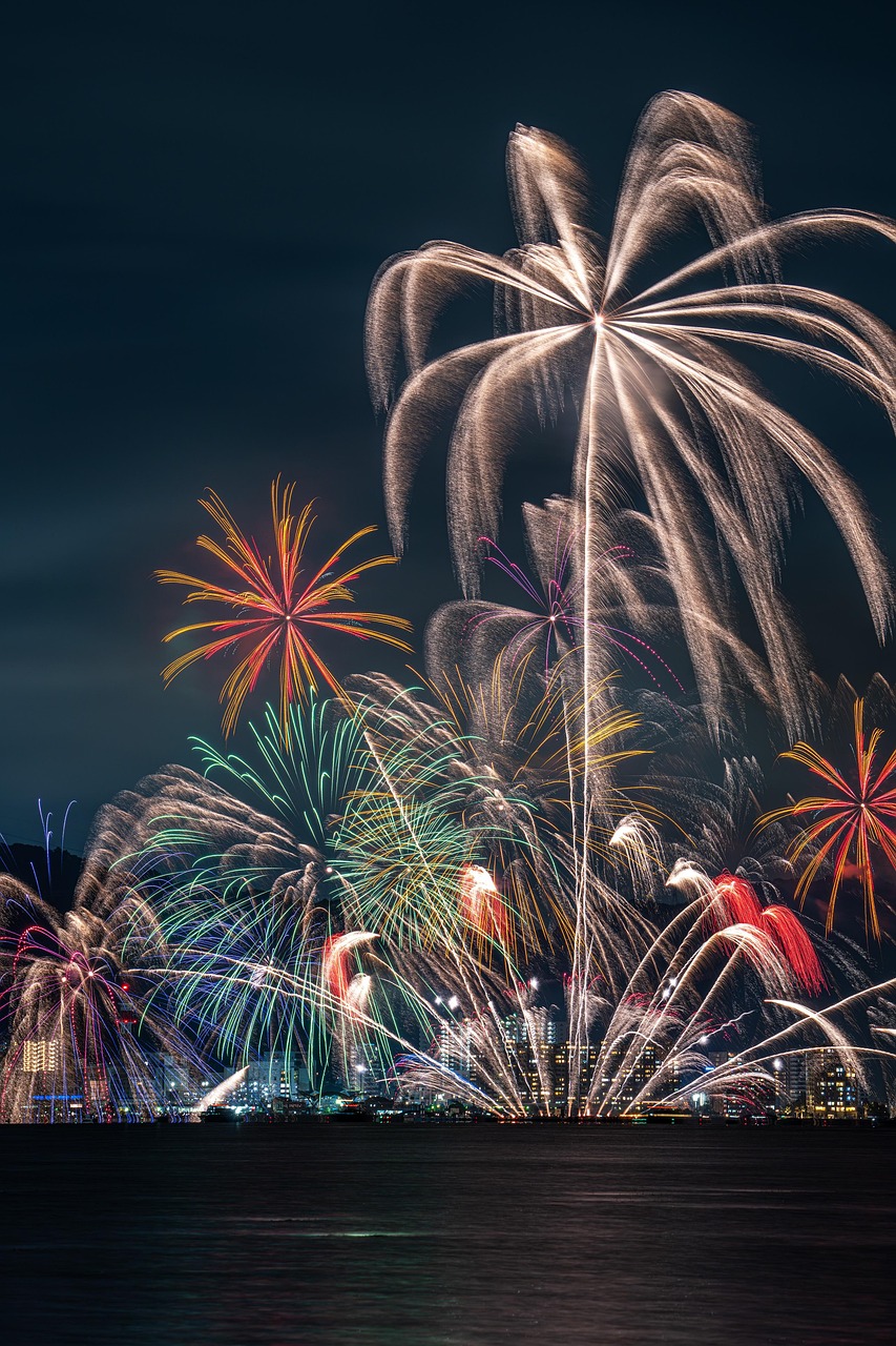 fireworks, fireworks display, lake, nature, lake biwa, event, palm tree, japan, phone wallpaper, aesthetic wallpaper